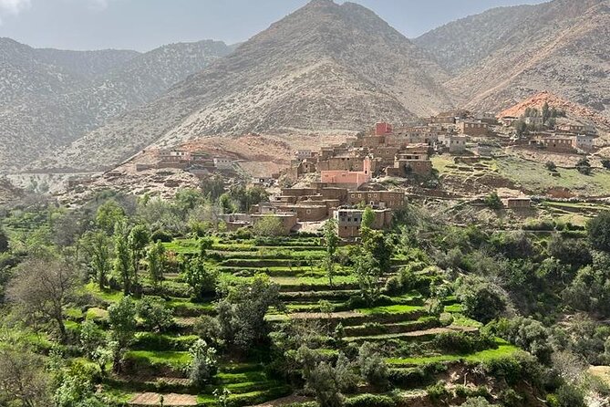 Amizmiz: Berber Villages & Atlas Mountains Tour - Women’s argan cooperative visits: learning and buying with context