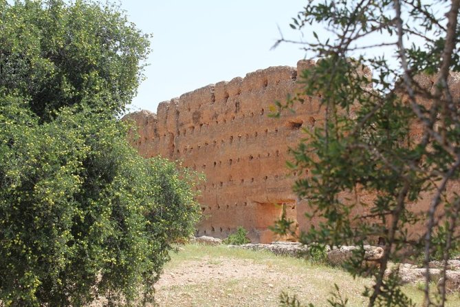Argan Forest, tea time at a Berbers family & Visit of an Argan cooperative. - Price and value: what $52.27 buys you