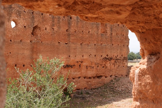 Argan Forest, tea time at a Berbers family & Visit of an Argan cooperative. - Should you book this argan forest and cooperative tour?