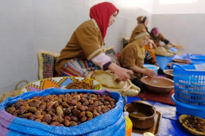 Argan Tree-Climbing Goats Morning Tour From Agadir - The guides who keep it clear: English, French, and Arabic