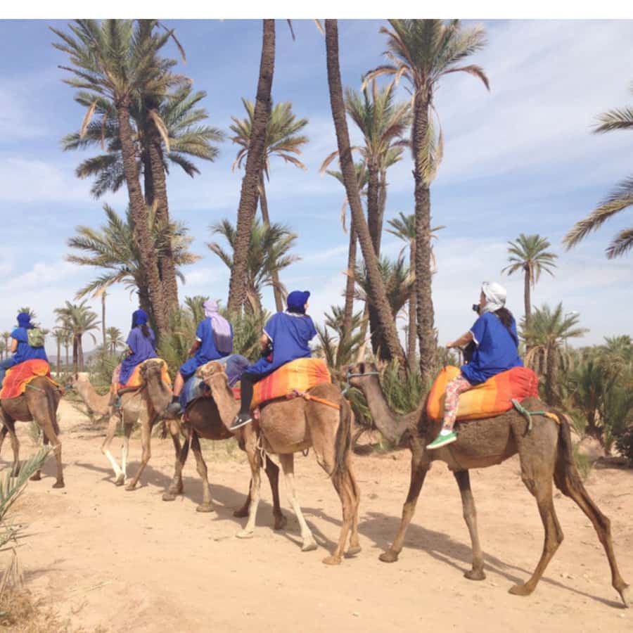 Around Marrakech: Camel Ride in Palm Groves including Tea - Getting There Smoothly: Pickup From Hotels and Riads