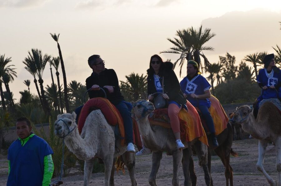 Around Marrakech: Camel Ride in Palm Groves including Tea - Dressing Up in Morocco: Outfits, Headdresses, and Photo Moments