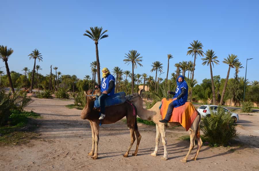Around Marrakech: Camel Ride in Palm Groves including Tea - Optional Adrenaline: Adding a 2-Hour Quad Bike Ride