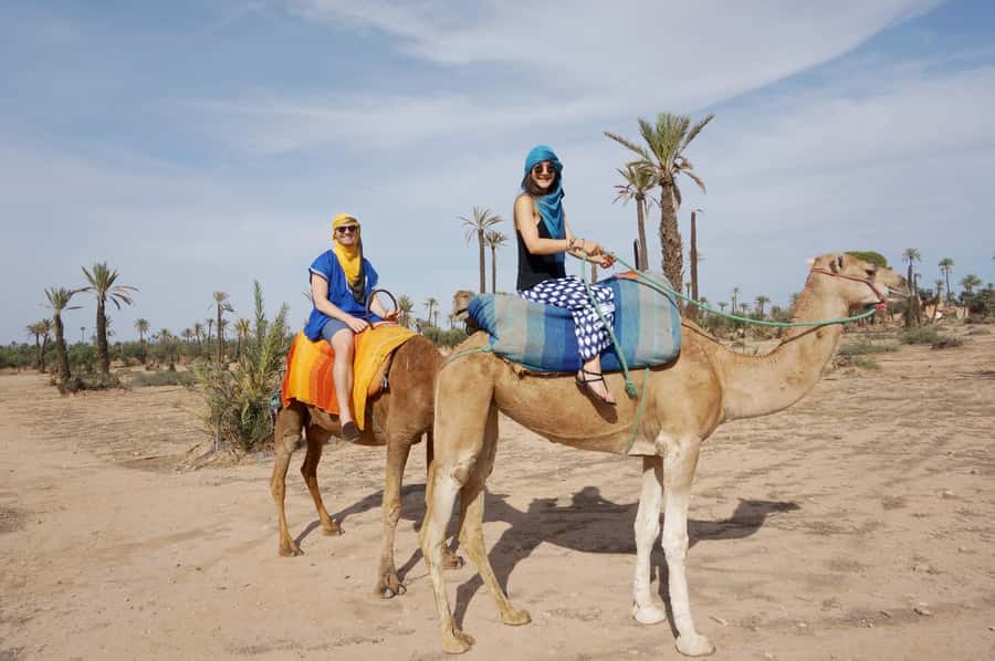Around Marrakech: Camel Ride in Palm Groves including Tea - What to Bring (So You Feel Comfortable, Not Distracted)