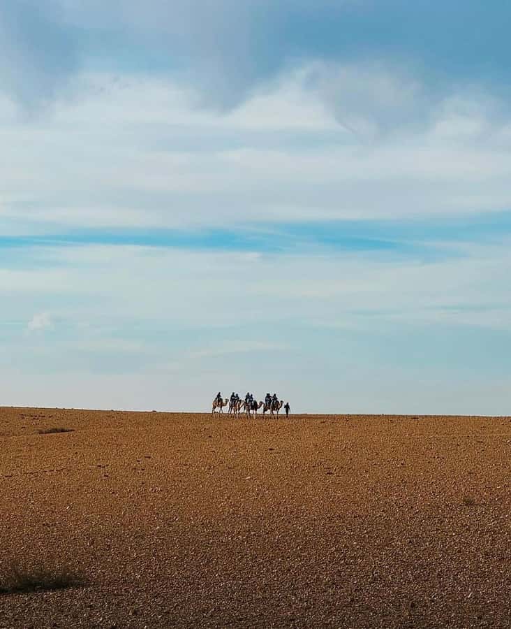 Atlas Mountain & Agafay:Quad Biking and Camel Ride Adventure - What to pack, and when you should skip this day