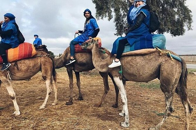 Atlas Mountain & Berber Villages and Waterfalls Day Trip from Marrakech - Stop 3: Cafe Imlil, the biggest waterfall moment, and a drink break