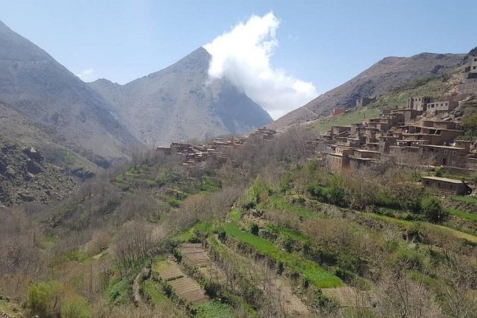 Atlas Mountain & Berber Villages and Waterfalls Day Trip from Marrakech - Stop 4: Dar Aymane lunch with tajine, salad, and mint tea