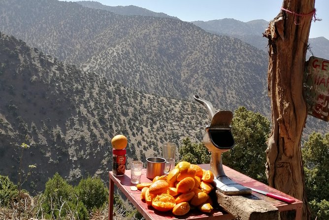 Atlas Mountain & Berber Villages and Waterfalls Day Trip from Marrakech - Price and what you really get for $34.89