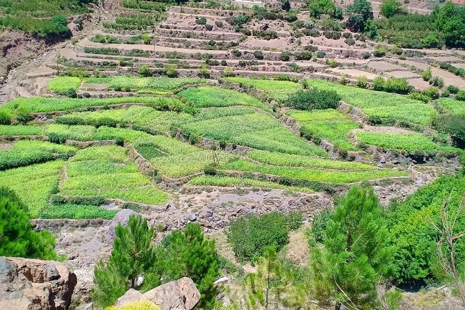 Atlas Mountain & Berber Villages and Waterfalls Day Trip from Marrakech - What to pack for Atlas walking (and why)