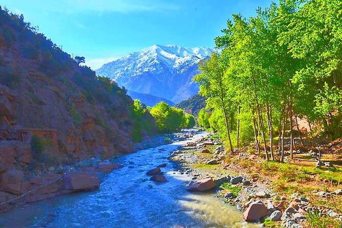 Atlas Mountains, 3 Valleys & Agafay Desert from Marrakech-DayTour - Camel ride: fun, but keep it realistic