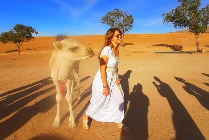 Atlas Mountains, 3 Valleys & Agafay Desert from Marrakech-DayTour - Lunch is optional and paid separately, plan for it