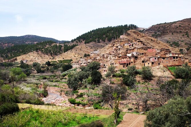 Atlas Mountains & 3 Valleys Waterfalls and Camel Ride Marrakech - Why This Atlas Day Trip Feels Like More Than a Ride