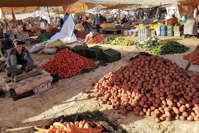 Atlas Mountains & 5 Valleys Tour from Marrakech - All inclusive - - Oukaimeden and the five-valley route: picture stops with real context