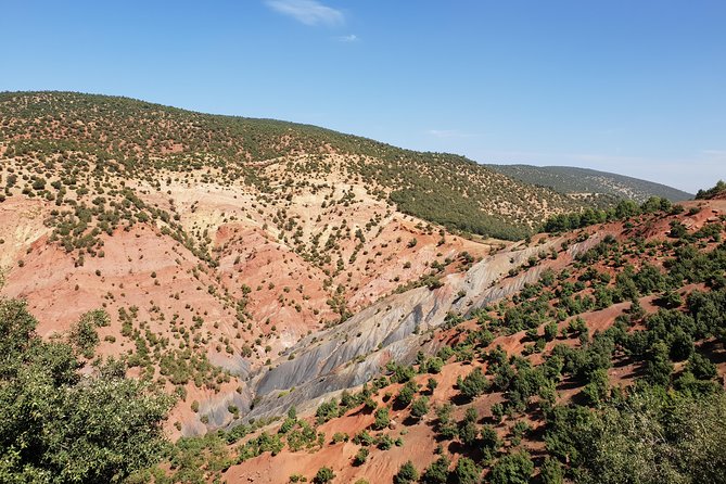 Atlas Mountains & 5 Valleys Tour from Marrakech - All inclusive - - Food and what you actually get, not just a vague lunch