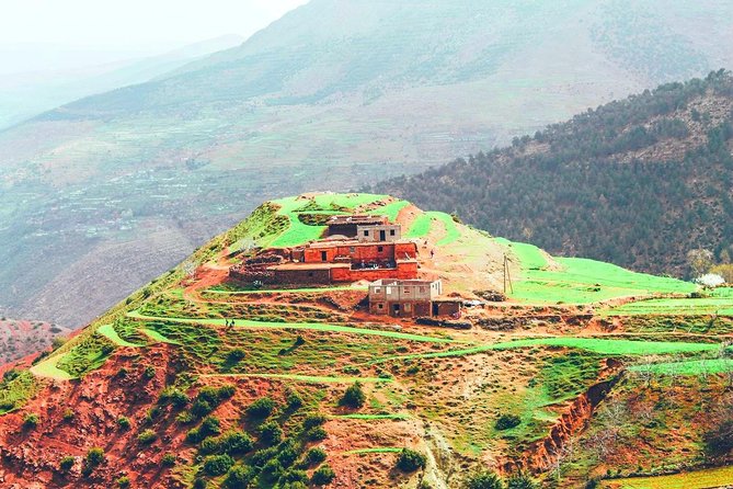 Atlas Mountains and 3 Valleys from Marrakech including Camel Ride - Market day in the 3 Valleys: when Tuesday or Saturday adds extra color