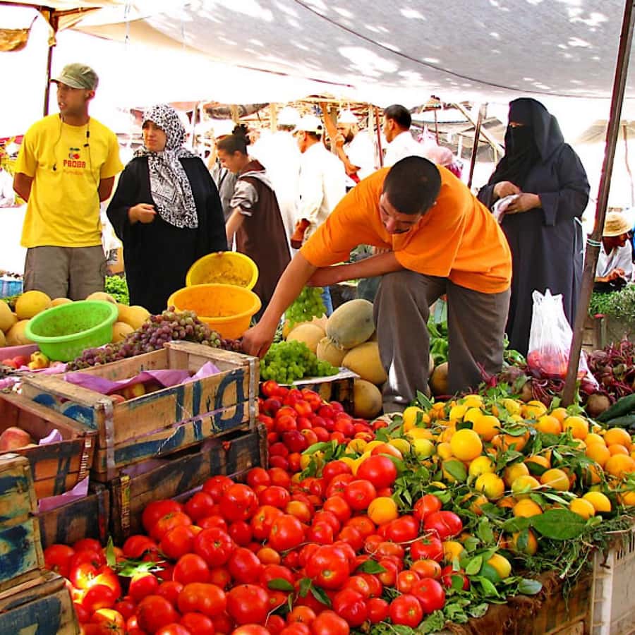 Atlas Mountains and 3 Valleys & Waterfalls & Desert Agafay - Lunch in the mountains: traditional Moroccan food, plus an argan-cooperative detour