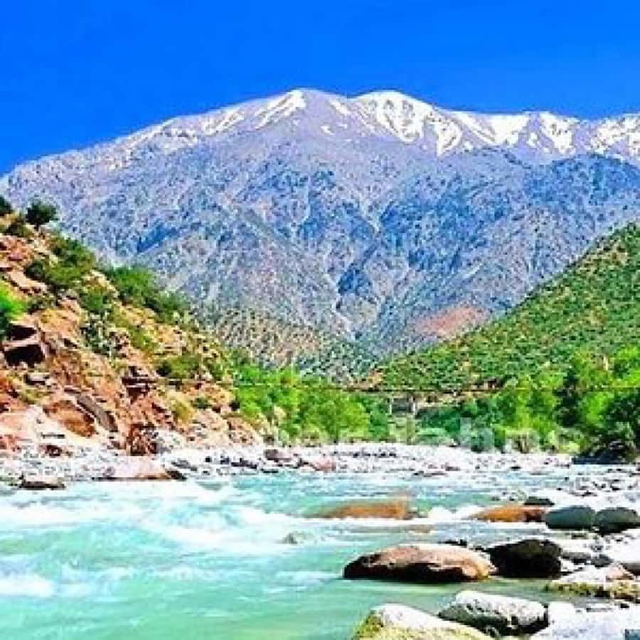 Atlas Mountains and 3 Valleys & Waterfalls & Desert Agafay - After lunch on the Kik Plateau: earth-and-stone homes and a Berber tea ritual