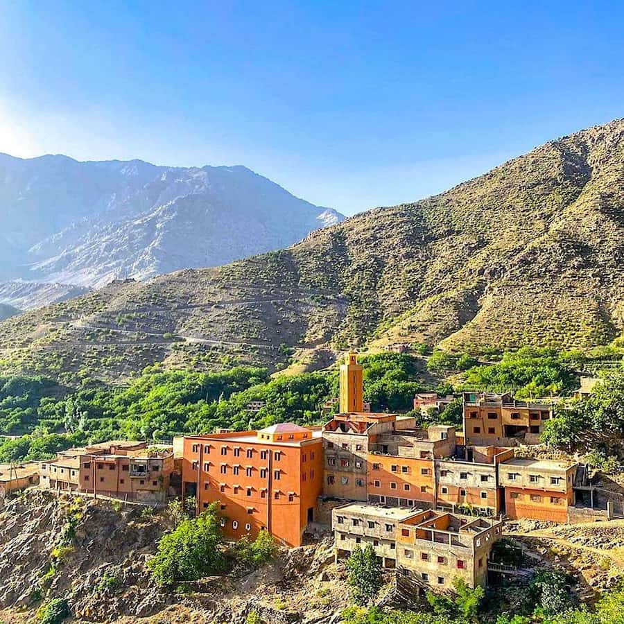 Atlas Mountains and 3 Valleys & Waterfalls & Desert Agafay - Agafay Desert camel ride: a different kind of scenery and great photo chances