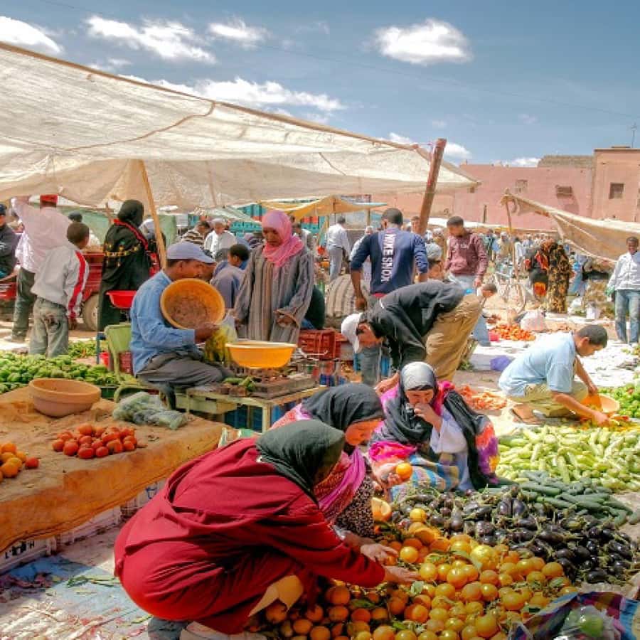 Atlas Mountains and 3 Valleys & Waterfalls & Desert Agafay - Guide quality and the multilingual advantage that really matters