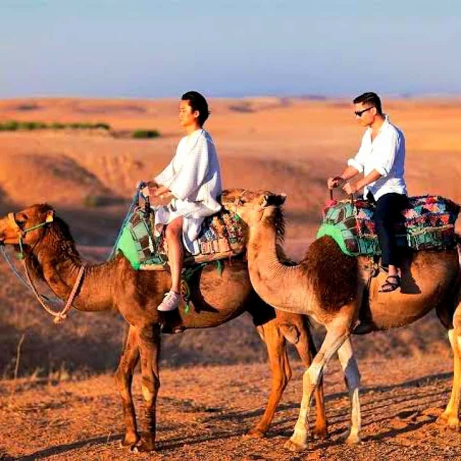 Atlas mountains and Berber villages & waterfall & camel ride - Smart packing and timing tips so the day feels easy