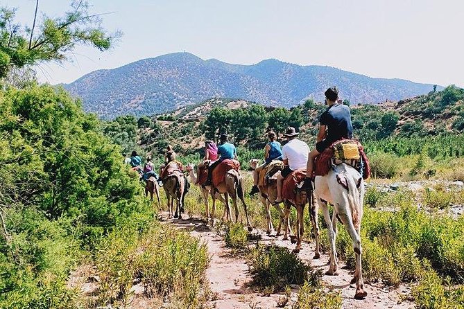 Atlas Mountains and Camel ride Day trip, from Marrakech - A full day in the High Atlas, without losing Marrakech time