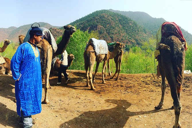 Atlas Mountains and Camel ride Day trip, from Marrakech - Imlil valley hike: where the trail starts and why 3 hours feels right