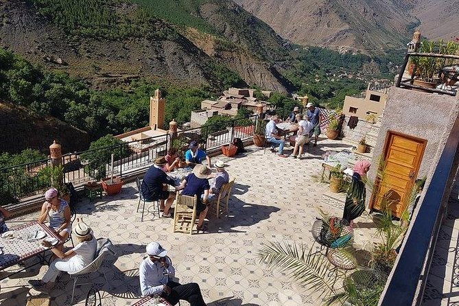 Atlas Mountains and Camel ride Day trip, from Marrakech - From Jamaa el Fna to Asni: camel ride and argan tasting