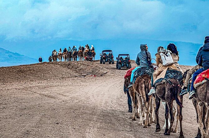 Atlas Mountains, Berber Villages and Three Valleys all inclusive - Argan Cooperative Stop: Goats, work, and how cooperatives matter