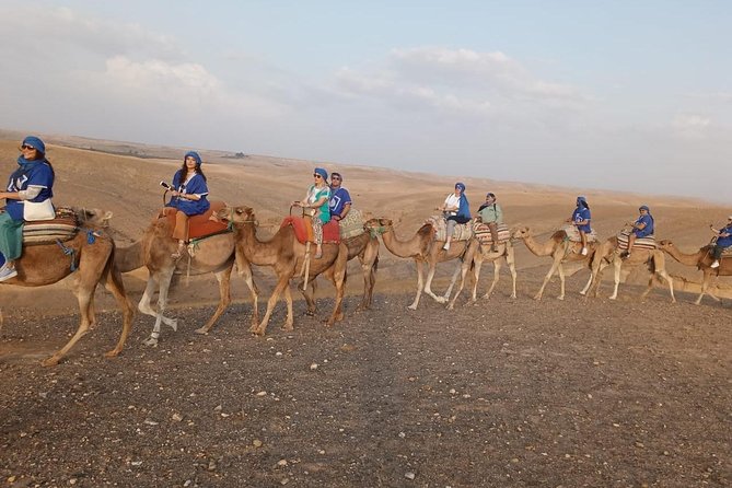 Atlas Mountains Day Trip From Marrakech - Pickup, Transport Comfort, and How to Avoid Wasted Time