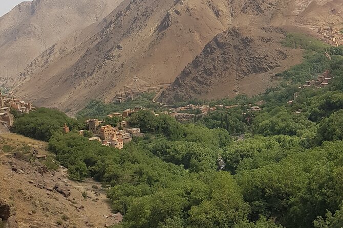 Atlas Mountains Day Trip From Marrakech - Lunch in the Berber Tradition: Why This Stop Is Worth Planning For