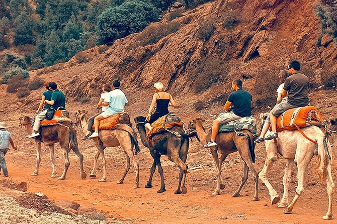 Atlas Mountains Day Trip from Marrakech and Three Valleys Guided Tour - Key highlights you should know before you go