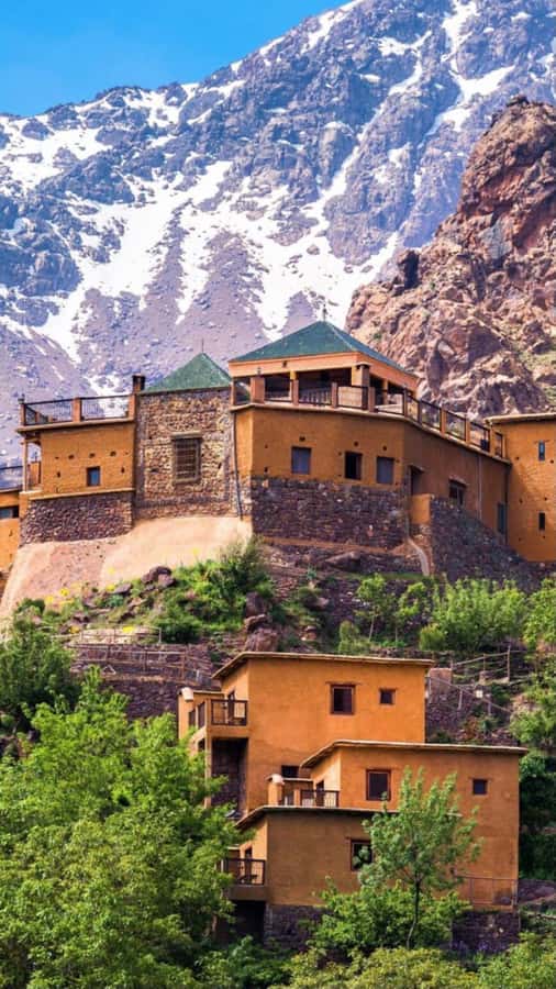 Atlas Mountains:Full-Day Trek to Berber Villages & Waterfall - On the trail with guides like Jawad Mazik, Achraf, and Rabia
