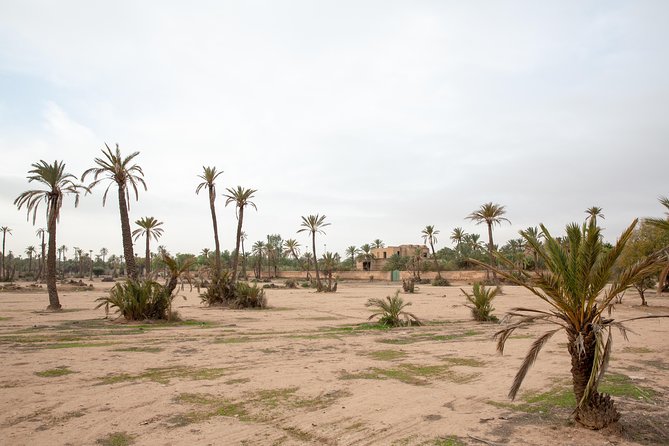 Atlas Mountains Hot Air Balloon Ride from Marrakech with Berber Breakfast and Desert Camel Experience - Price and Value at About $164.52: What You’re Paying For