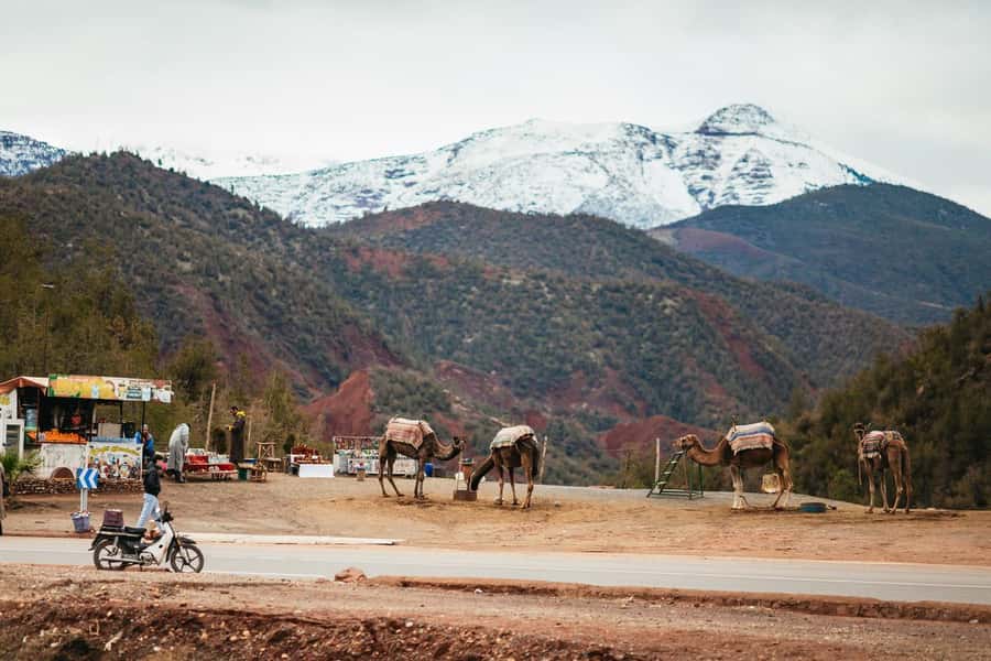 Atlas mountains, Ourika valley, berber villages trip & Guide - Key things to know before you go