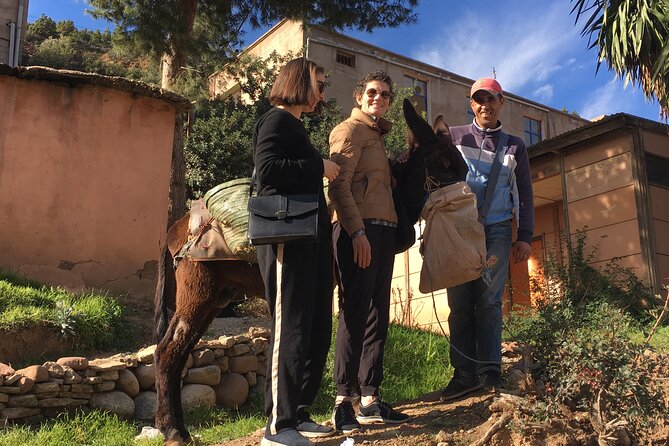 Atlas Mountains Ourika valley Day Tour from Marrakech - Berber villages and the traditional lunch situation