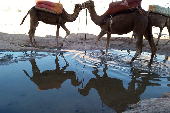 Atlas Mountains ourika valley Guided Tour - Key Things to Know Before You Go