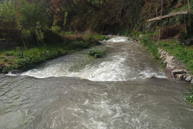 Atlas Mountains ourika valley Guided Tour - Group Size and the Guide Factor: The Difference Between Okay and Great