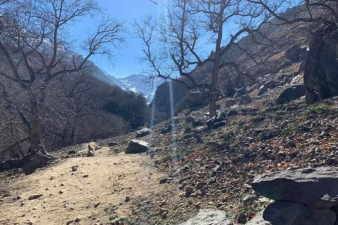 Atlas Mountains, Waterfalls Day Hike & Trek From Marrakech - Should you book this Marrakech Atlas Mountains day hike and trek?