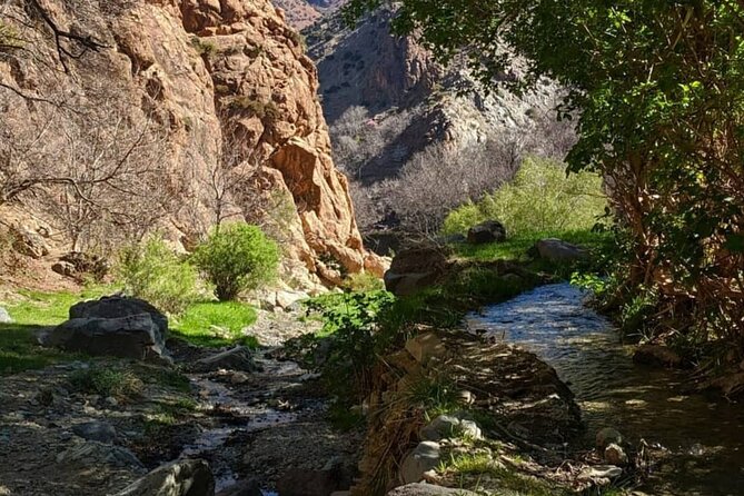 Atlas Mountains & Waterfalls Day Trip from Marrakech - The Drive Back to Marrakech: Comfort, Photos, and a Soft Landing