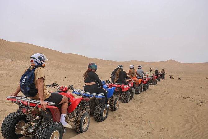 Beach Quad Biking and Sandboarding Adventure from Agadir - Why this quad and sandboarding trip works from Agadir