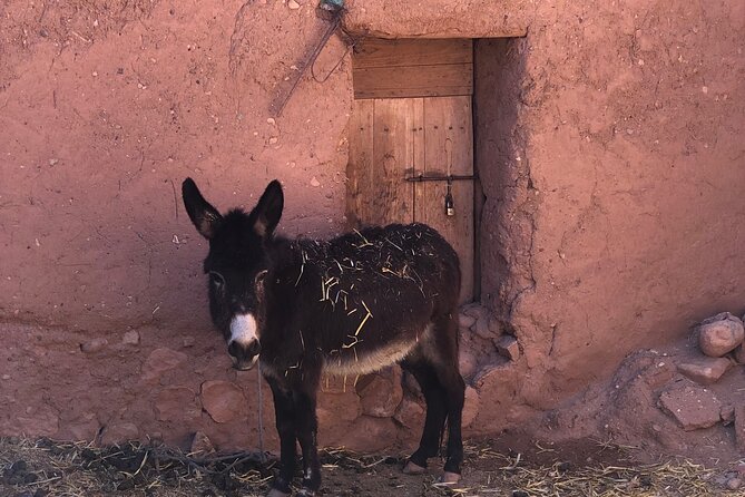 Best Marrakech to Merzouga 3 D 2N Sahara Desert Tour Adventure - Marrakech to Ait-Ben-Haddou, where kasbah walls actually look old