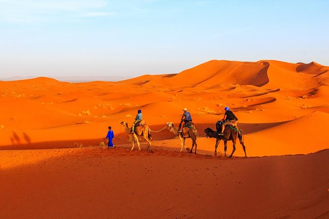 Best of Moroccan Sahara: 5-Day Guided Tour from Marrakech - Day 5: Ouarzazate back to Marrakech over Tizi n-Tichka