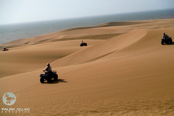 Big Cap Sim dunes and forest 3 hours tour. - Price and What You Really Get for It