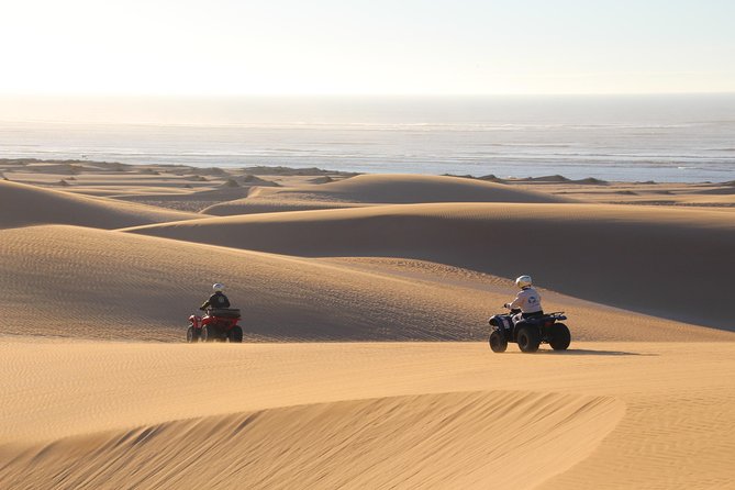 Big Cap Sim dunes and forest 3 hours tour. - Cape Sim Dunes: The Moment the Quad Feels Like a Toy