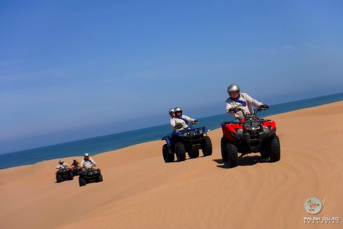 Big Cap Sim dunes and forest 3 hours tour. - Essaouira Beach and the Walk to the Lighthouse Area