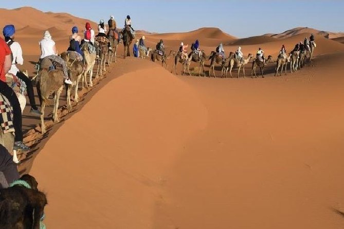 Big Morocco Tour 15 Days From Casablanca - The imperial-city route from Casablanca to Marrakech