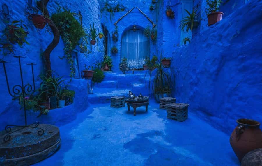 Blue City magic: Affordable Day Trip from Fez to Chefchaouen - Price and Value: Is $28 a Good Deal?