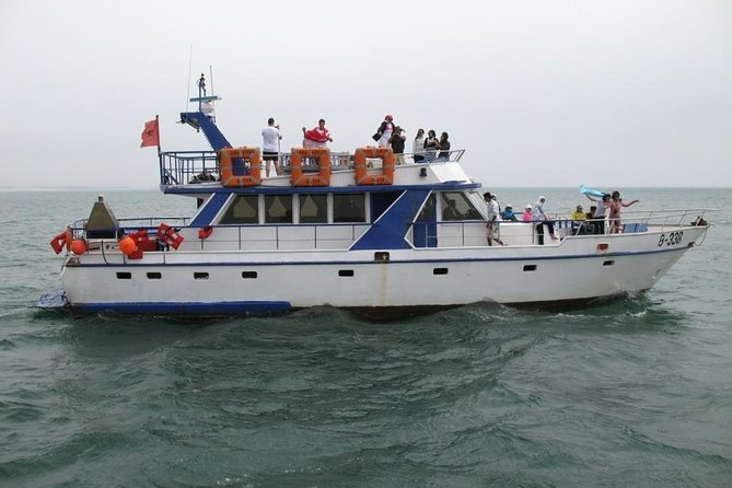 Boat Tours in Agadir lunch including ( sea food ) - Key Things I’d Book This For