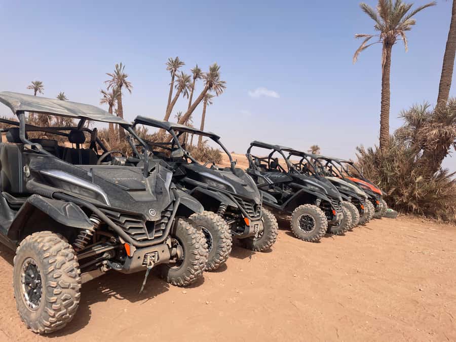 Buggy 1000 cc Adventure in Marrakech Desert - Camel ride and Berber tent dinner: the traditional layer under the action