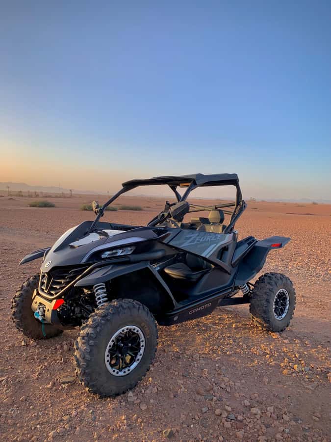 Buggy Marrakech Desert and Palmerie - Palmerie and Palm Groves: What the Drive Feels Like